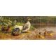 Tile mural with wild ducks, ducklings and pondside countryside scenery